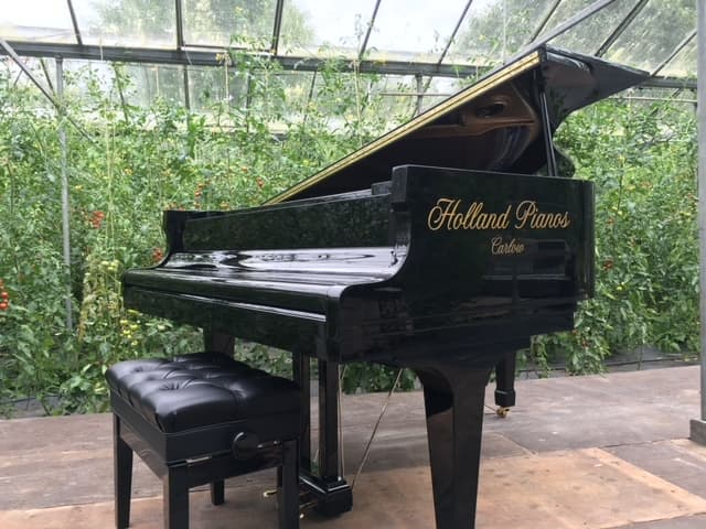 Inside the Holland Pianos showroom